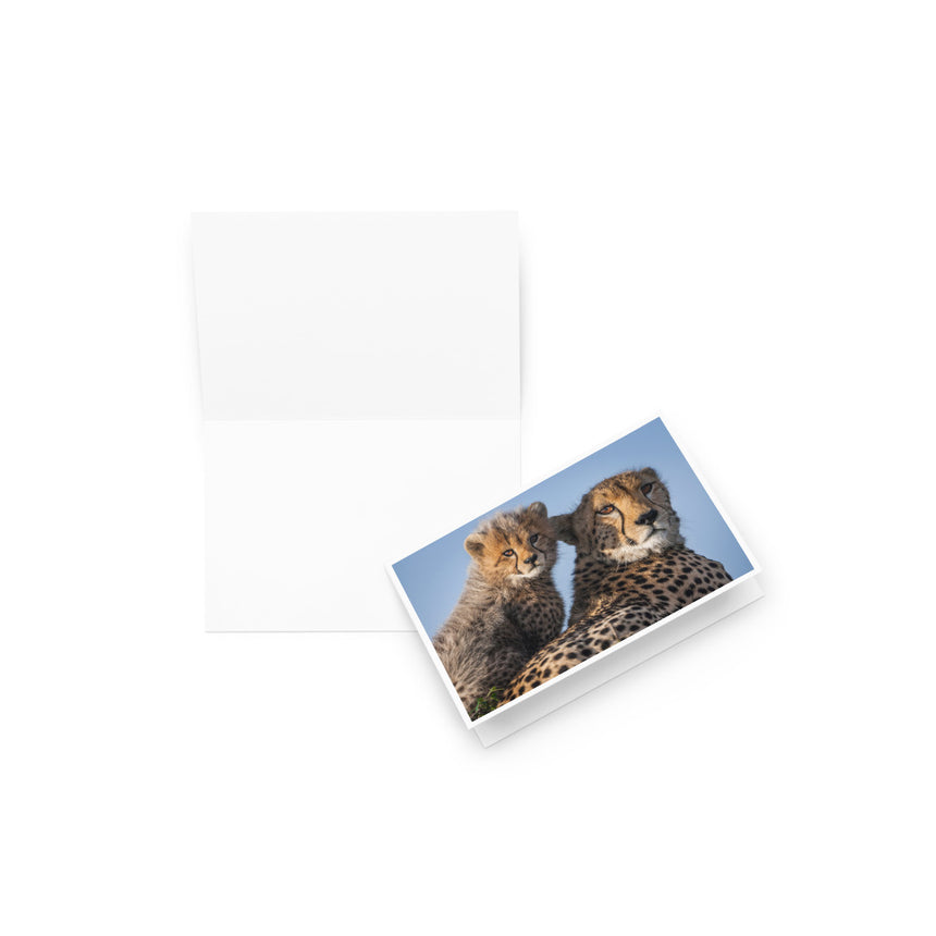 "Duma and Shakira" Greeting Card – 4" x 6"