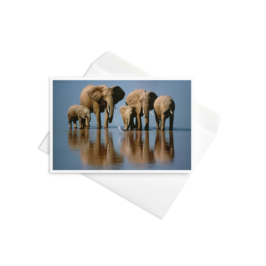 "Elephant Heaven" Greeting Card – 4" x 6"