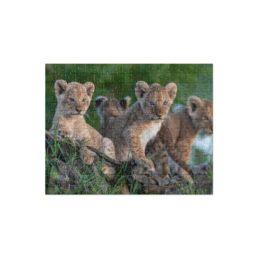 "The Curious Cubs" Jigsaw Puzzle – Small