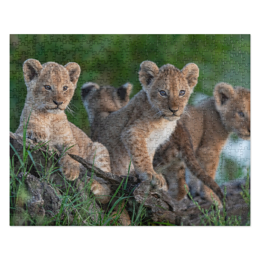 "The Curious Cubs" Jigsaw Puzzle – Large