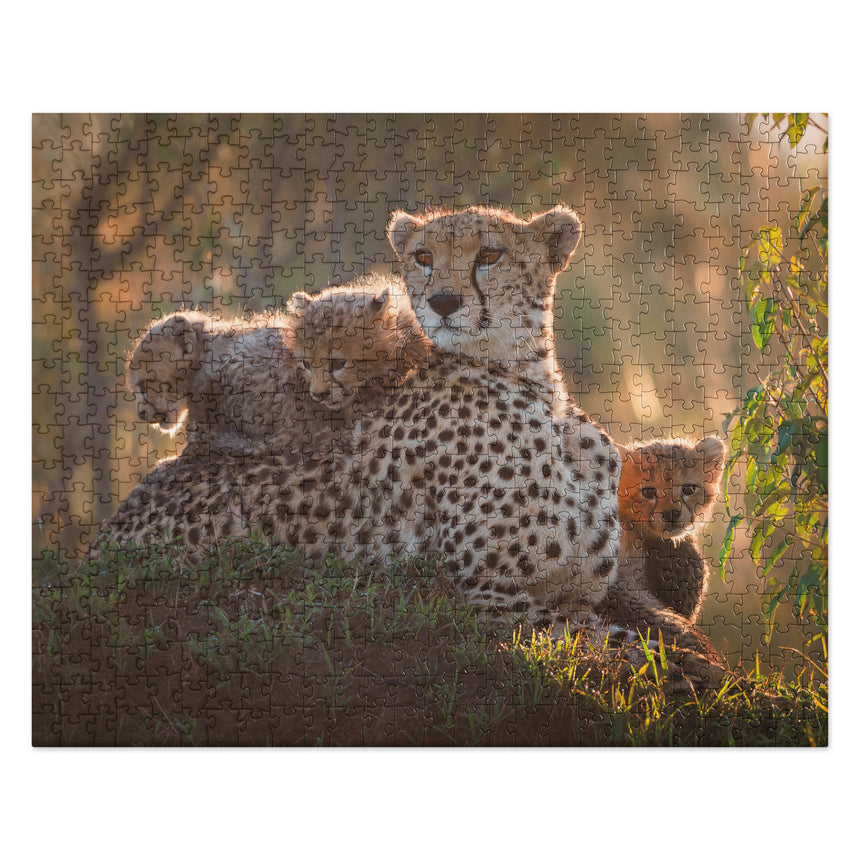 Bring Jonathan and Angela Scott's wildlife photographs to life with an immersive jigsaw puzzle of Shakira the cheetah mother and her cubs.